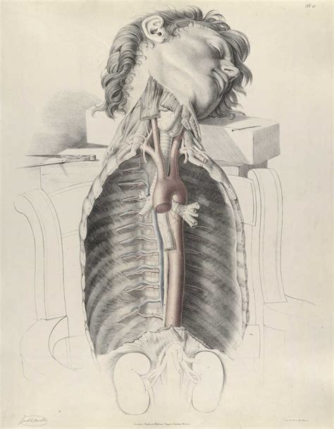 Historical Anatomies on the Web: Richard Quain Home