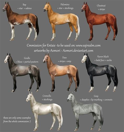 Some Akhal Teke colors/markings | Akhal teke horses, Beautiful horses ...