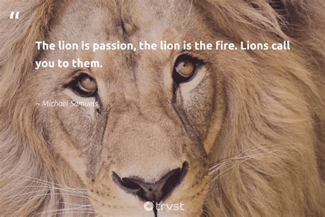 Lion Quotes - 42 Inspirational Lion Sayings & Famous Quotes