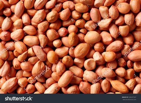 46,563 Ground Nuts Images, Stock Photos & Vectors | Shutterstock