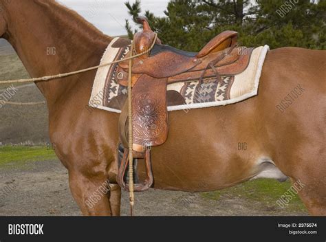 Horse Western Saddle Image & Photo (Free Trial) | Bigstock