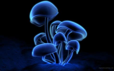 Neon Mushrooms wallpaper | other | Wallpaper Better