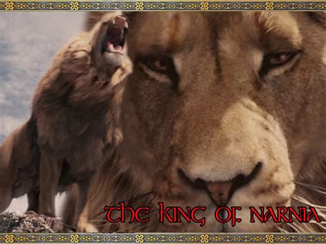 aslan the king of narnia - Aslan Wallpaper (20650332) - Fanpop