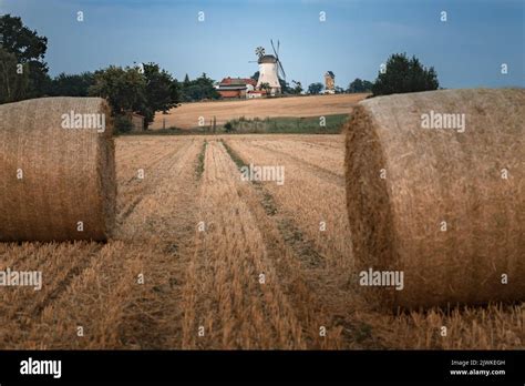 Straw bales in a field at sunset Stock Photo - Alamy