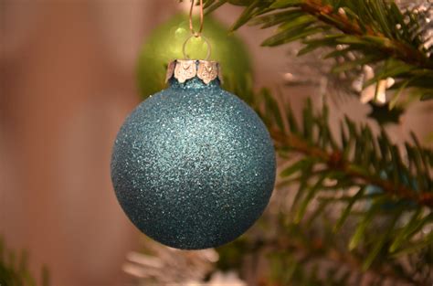 Free Images : branch, flower, green, produce, blue, fir, lighting, flora, modern, christmas tree ...