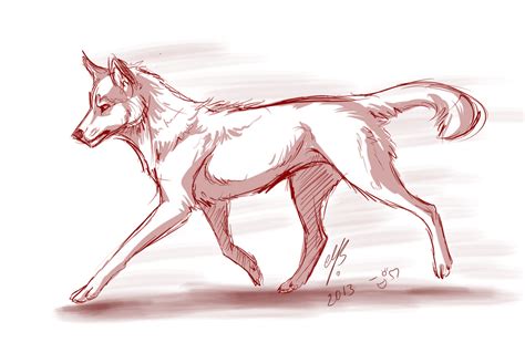 Red wolf by MayhWolf on DeviantArt