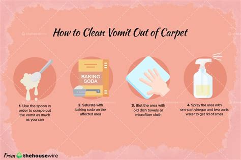 How To Clean Old Cat Vomit Stains From Carpet | Homeminimalisite.com