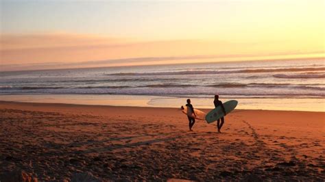 10 Reasons to Experience a Tamarindo Costa Rica Surf Camp | Iguana