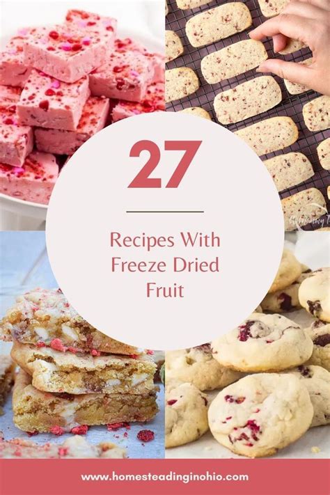 desserts and cookies with text overlay that reads 27 recipes with freeze - dried fruit