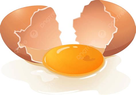 Egg Yolk Drawing White Yolk Snack Vector, Drawing, White Yolk, Snack PNG and Vector with ...