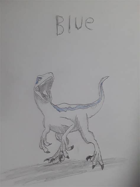 Blue drawing | Fandom