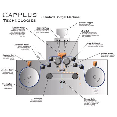 A Deep Look Into The Softgel Manufacturing Process - IPharmachine