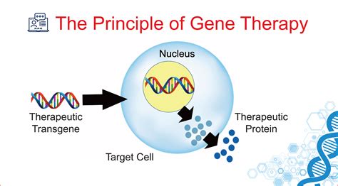 Gene Therapy | Viral Vector Gene Therapy | Application to Hemophilia