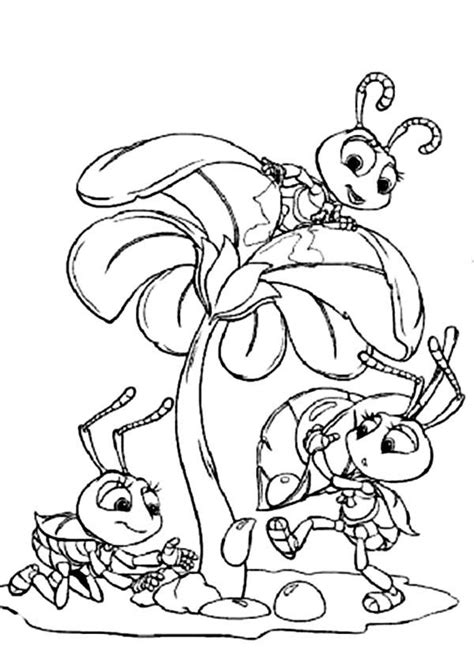 The Ant And The Grasshopper Coloring Pages - Coloring Home