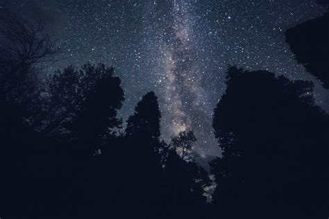 Night Sky Stars Trees