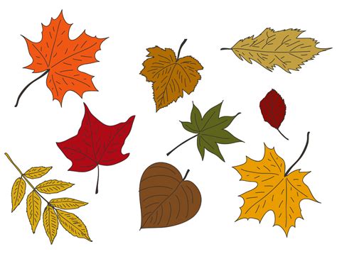 Fall Leaves - 10 Free PDF Printables | Printablee