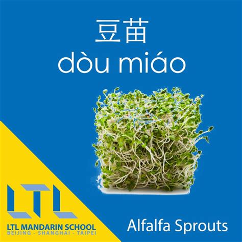 Vegetables in Chinese - Learn 52 Veggies with LTL Mandarin School