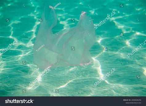 Ocean Pollution Plastic Bag Underwater Stock Photo 2059426250 | Shutterstock