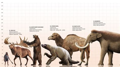 Ice Age Animals Pictures