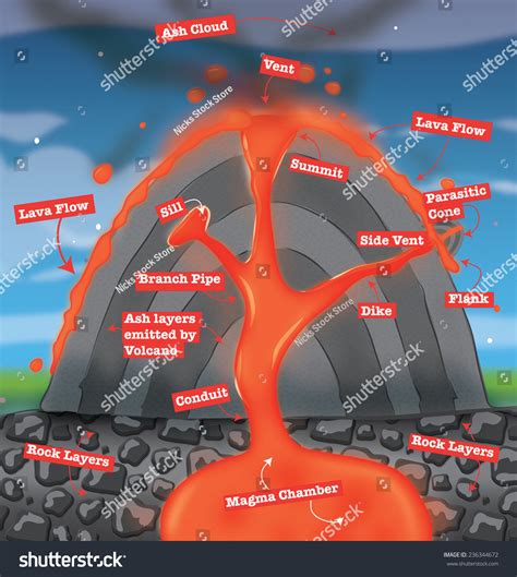 Diagram Of A Volcano. A Diagram Of A Erupting Volcano, This Is A ...