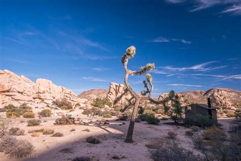 Photos of Hidden Valley Campground, Joshua Tree