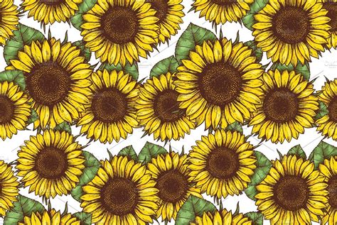 Sunflower illustrations | Sunflower illustration, Sunflower wallpaper, Illustration