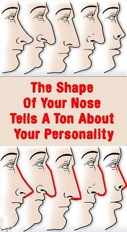 Your Nose Shape Tells A Ton About Your Personality… - Secret Of Longevity