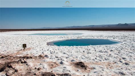 Desert Dreams Unveiled: Chile's Atacama Oasis