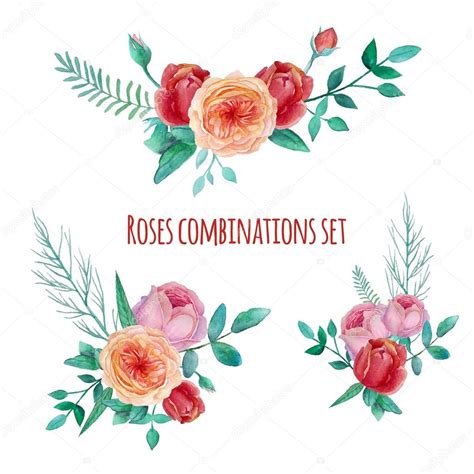 Watercolor garden roses — Stock Vector © DinaL #62688619