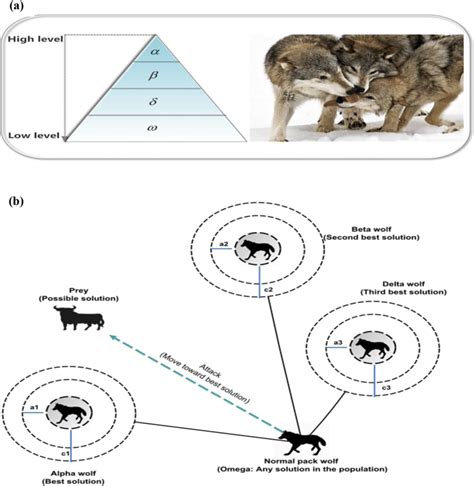 Wolf Pack Hierarchy Chart