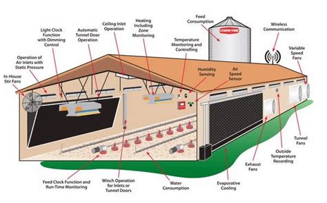 Important Tips You Should Know On How To Start A Poultry Farm | Granja avícola, Criadero de ...