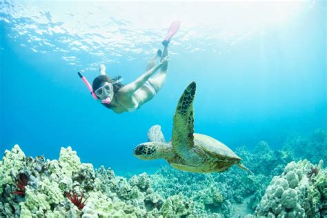 The 7 Best Snorkeling Tours in Kauai of 2020