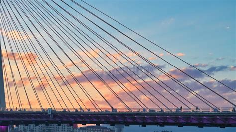 View of Jembatan 5 Barelang Cables before the Sunset Sky Stock Photo ...