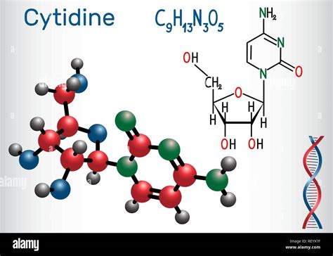 Cytidine hi-res stock photography and images - Alamy