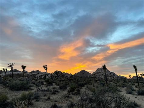 View from Joshua Tree Campsite! : r/camping