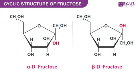 Structure Of Glucose and Fructose - Properties, Steps To Draw with Videos