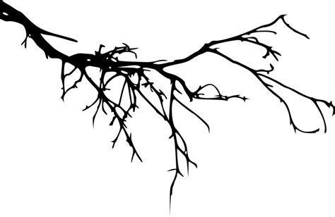 12 Tree Branch Silhouette (PNG Transparent) Vol. 3 | OnlyGFX.com