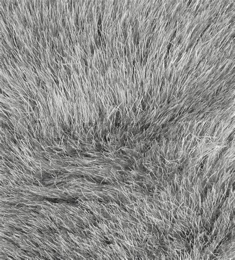 Grey fur background texture | Stock image | Colourbox