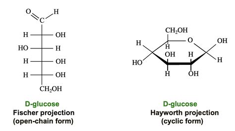 Solved Haworth and Fisher Projections of | Chegg.com