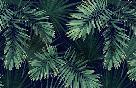 Tropical Plant Wallpapers - Wallpaper Cave