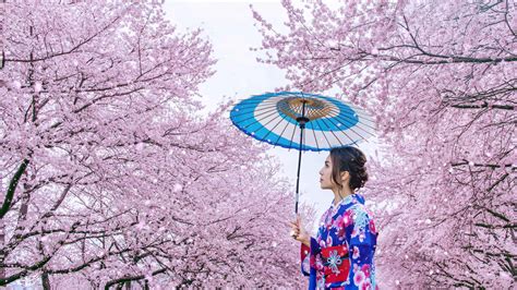 Cherry blossom season in Tokyo: a must-see event for springtime visitors | Blacklane Blog