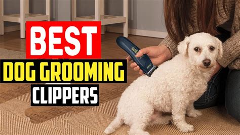 Top 5 Best Dog Grooming Clippers in 2023 Reviews & Top Picks - YouTube