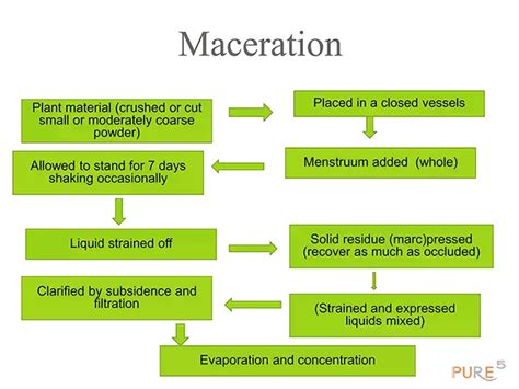 Maceration Plant Extraction Explained: Unlocking the Potential