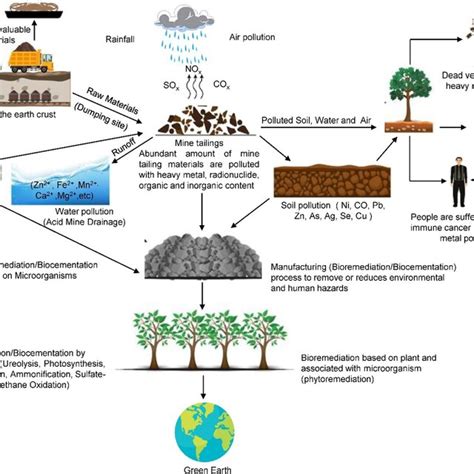 Mine tailings health and environmental impacts | Download Scientific Diagram