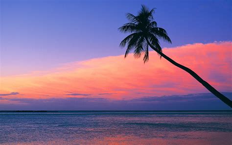 Look at the pink sunset from the beach wallpaper - Beach Wallpapers