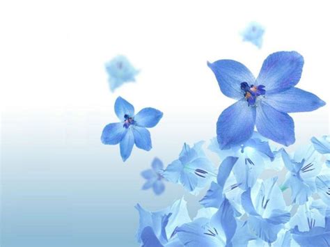 Light Blue Flower Wallpapers - Top Free Light Blue Flower Backgrounds - WallpaperAccess