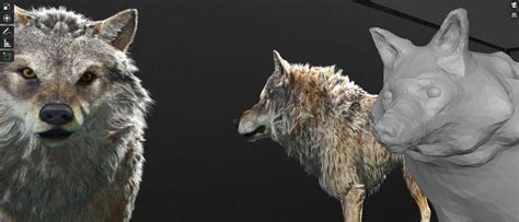 Wolf (Returning to blender after many years hiatus) - Works in Progress - Blender Artists Community