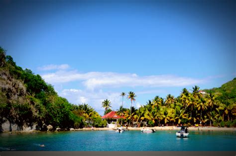 The 6 Best Beaches in Dominica - AllTheRooms - The Vacation Rental Experts