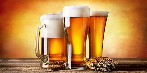 10 Types of Beer Glasses to Complement Your Beer