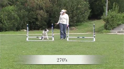 Jump practice patterns - Agility Dog Training - YouTube